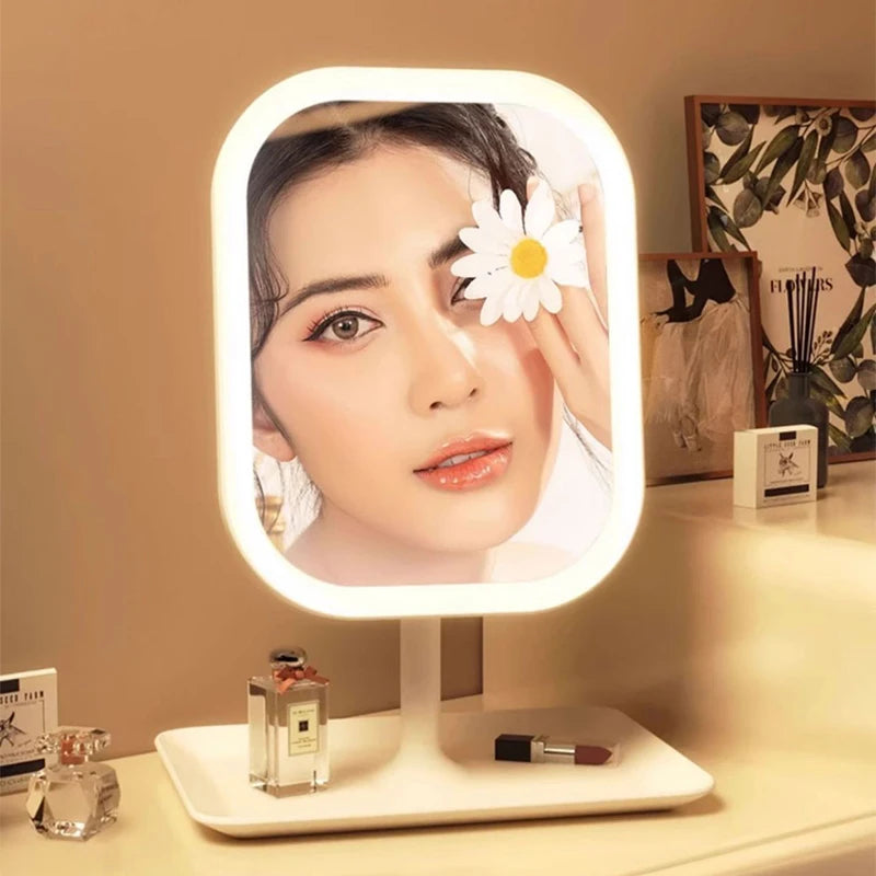 Dimmable LED Stand mirror